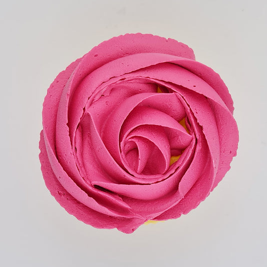 Gel Colour Pink Charlotte | 21G