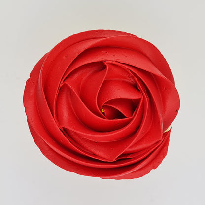Gel Colour Christmas Red | 21G
