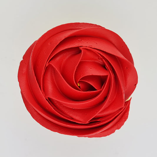 Gel Colour Christmas Red | 21G